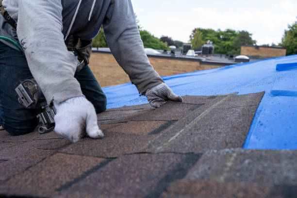 Sealant for Roof in Centennial, CO